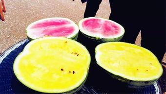 河南吃瓜爆料,揭秘当地美食背后的故事