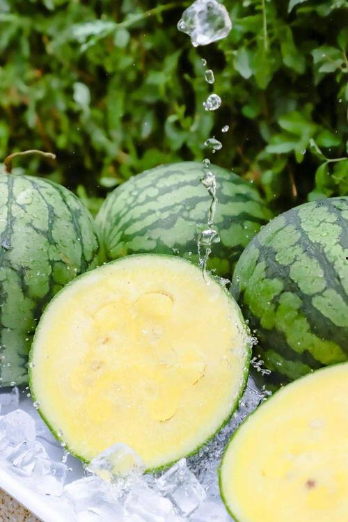 91黑料吃瓜网热点大瓜,揭秘娱乐圈最新热点大瓜，带你领略幕后真相