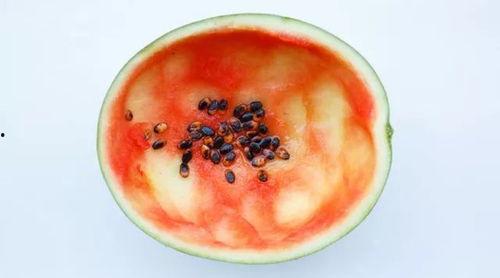 网红吃瓜大勺子视频,揭秘娱乐圈幕后真相