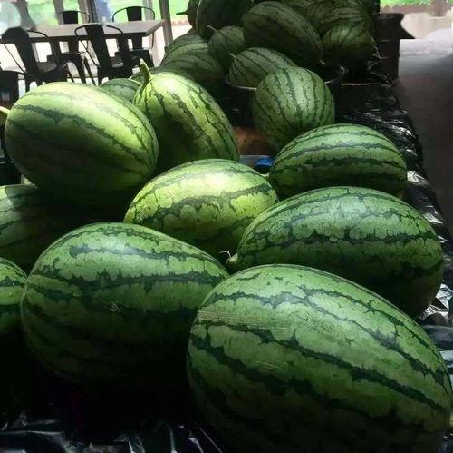 16.su吃瓜网,网络舆论场的新势力崛起