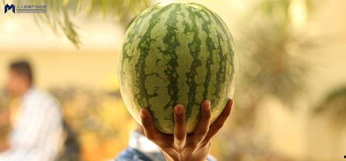 娱乐大瓜在线吃,娱乐大瓜在线吃，明星幕后故事大公开